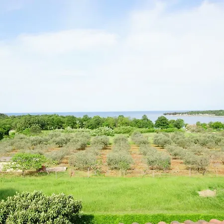 Apartment Vjeko Porec